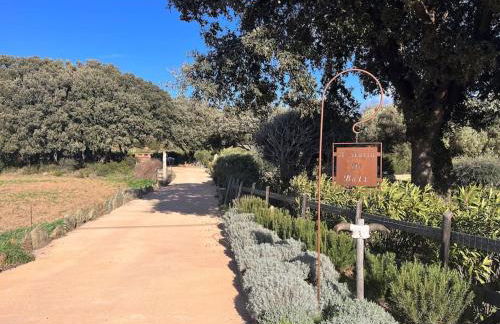 Bergerie du Cap Corse - Foto 13