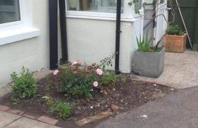 4 Bed-2 Bath-Bar-Pool Table-Library- Xmas venue - Photo 66