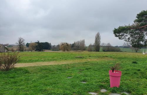 Gîte du "Chat botté" Zoo de Beauval Châteaux de La Loire 4 pers - Foto 18
