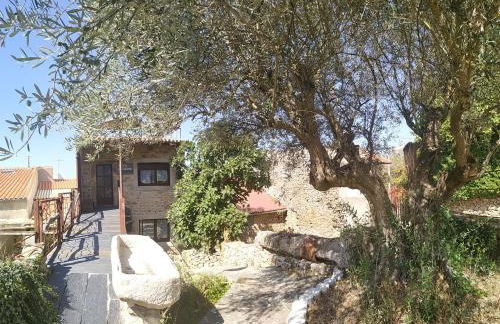 La Teodora - Foto 10