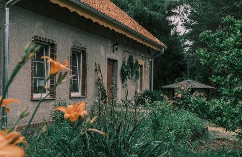 Tajna Bazia - Foto 20