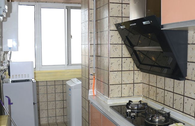 Lan Zhou Long Shang Purple Tulip - Foto 5