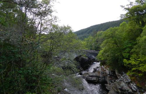 Forest Glen Holiday Park - Photo 1