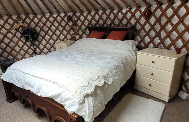 Go Eco Glamping - Foto 12