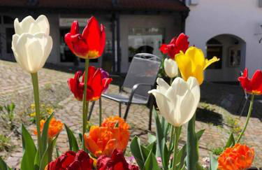 Appartement am Brunnenplatzl mit Bademantelzugang - Foto 22