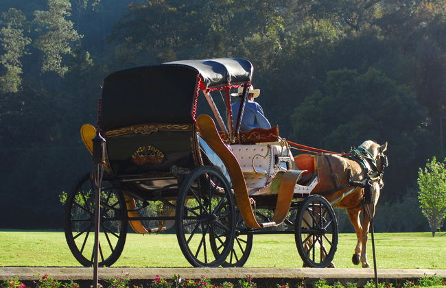 Sierra Lago Resort & Spa - Foto 80