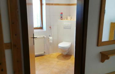 Haus Haidweg - Ferienwohnungen in Haidmühle im Dreiländereck DE-CZ-AT - Foto 74