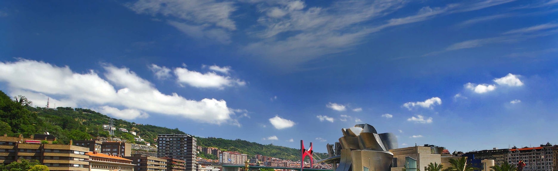 Tour privado por el Museo Guggenheim