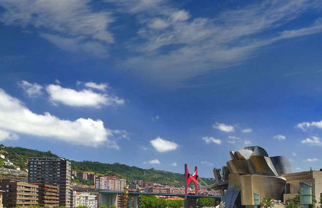 Tour privado por el Museo Guggenheim - Foto 1