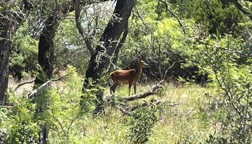 Dome Sweet Dome - Foto 4