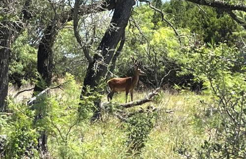 Dome Sweet Dome - Foto 4