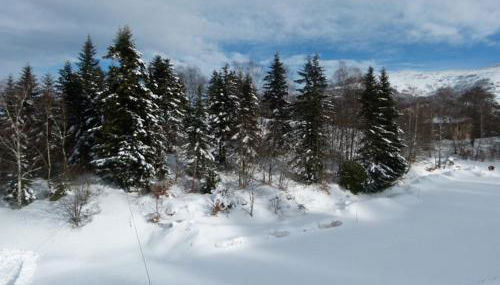 Residence LUDOVIC appartement GENET - Photo 2