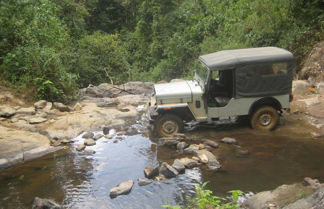 Tour privado en 4x4 por las cascadas de Munnar - Foto 15