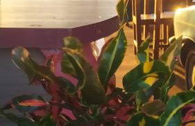 Pousada Venture Jalapao - Foto 7