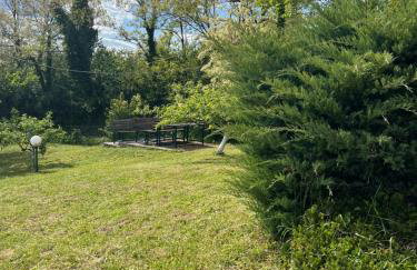 Kuća Šuma - Foto 6