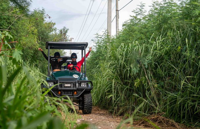 Art and Forest way by 4X4 - Boogie Tour - Foto 1