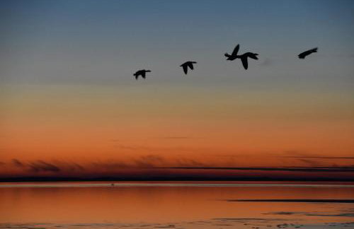 Fewo Nordseeblick - Foto 14