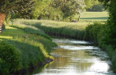 B&B Annabelle - Foto 35