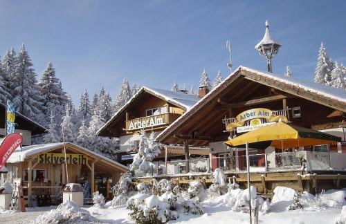 Arber Alm - Foto 1