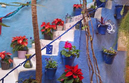 El patio azul Bohemio Mágico - Foto 31