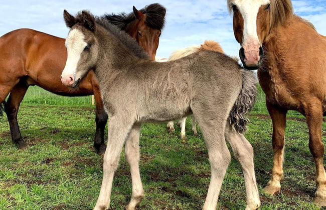 Farmer's Guest House - Foto 14