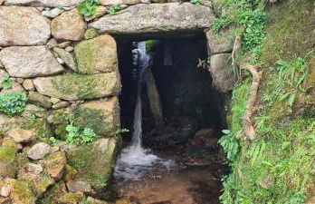 Casa Lisboana - Foto 24