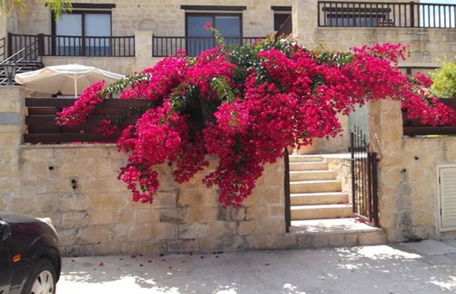 Idyllic 3 Bed Villa With Stunning Views - Foto 23