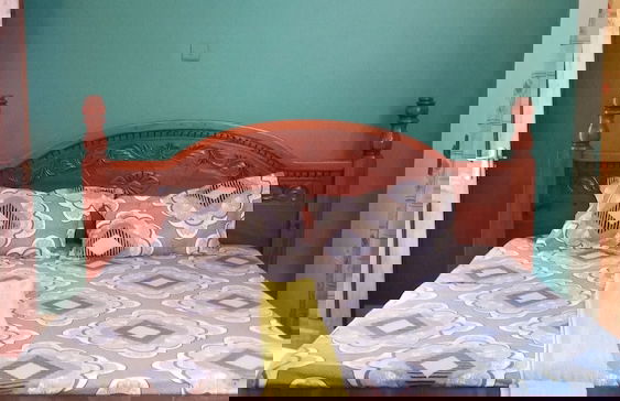 Masala Living - Photo 11