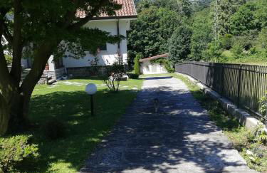 I tulipani - Foto 11