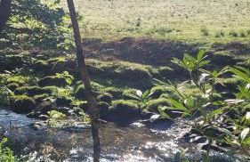 The Granary Corris on the edge of the Dyfi Forest - Photo 31