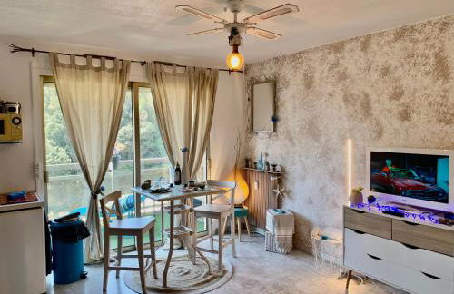 Luxurious Studio in Cannes 450m from sea with Terrace and Air Conditioning and private Parking - Foto 12