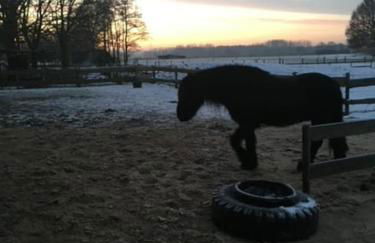 Kälberstall - Foto 12