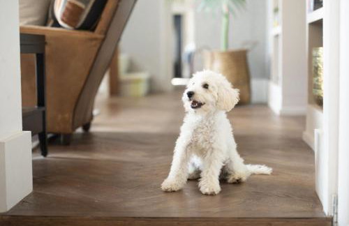 Decoy Farm House - Parking for 3 cars - Hot tub - Wi-Fi - Foto 14