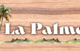 La Palmera - Foto 65