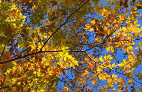 Lake Winni Condo - Beach, Concerts and Views for miles - Foto 14