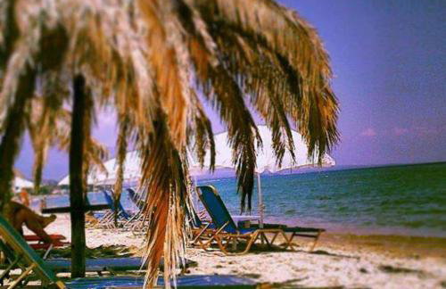 Isla Studios - Foto 8