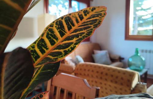 La Campanera - Foto 7