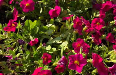 Casa Loredana - Foto 69