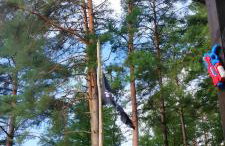 Bungalows im Grünen - Photo 10