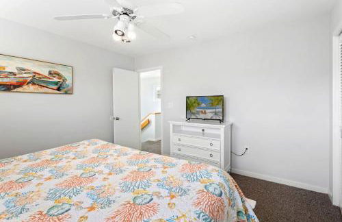 CAC-23B - Zebrafish - Foto 27