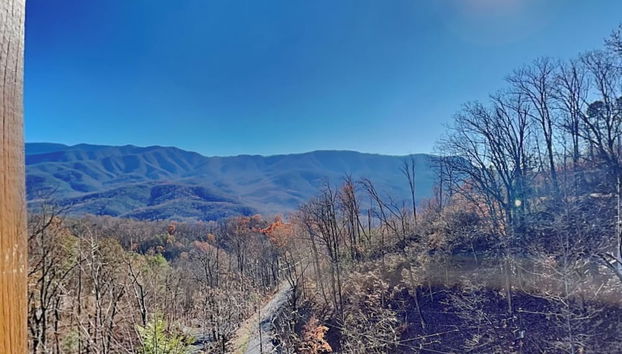 The Squirrel's Nest by Jackson Mountain Rentals - Foto 5, Servicios del alojamiento