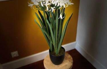 Cocon de la Tour-Confort Premium-Hyper-Centre - Foto 31