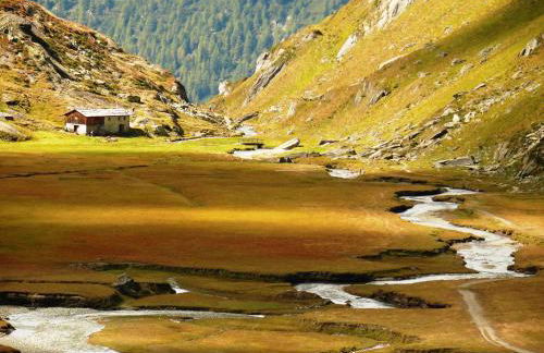 Panorama-Apartments Oberkofl - Photo 49