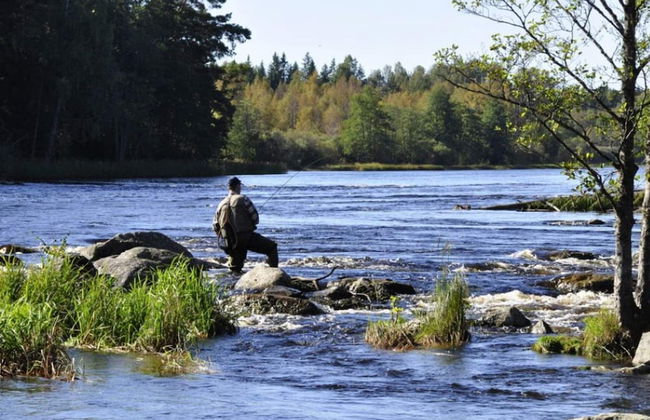 4 Person Holiday Home in Burtrask - Photo 9