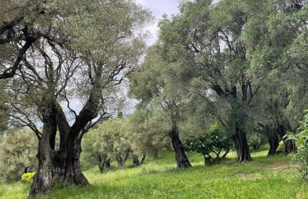 Appartement mignon calme douillet ascenseur clim étage élevé proche parking et toutes commodités au coeur du Toulon historique - Photo 57