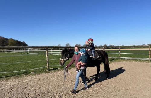 Wohnen auf dem Ponyhof - Photo 21