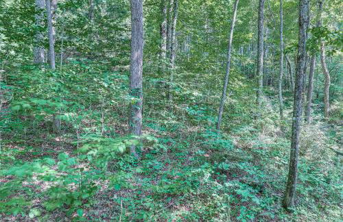 7 Mi to Dtwn Asheville Carriage House with Deck - Photo 21