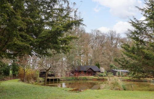 Woodpeckers - Photo 1