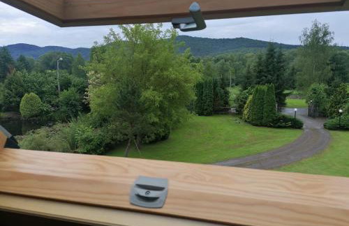 Dzikie południe - Foto 13