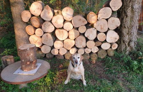 Ferienhaus Waldblick - Photo 54